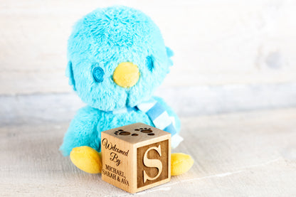 Baby Stats Block